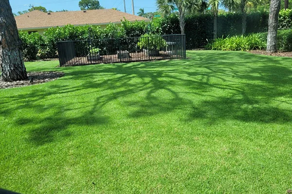 Landscape Installation