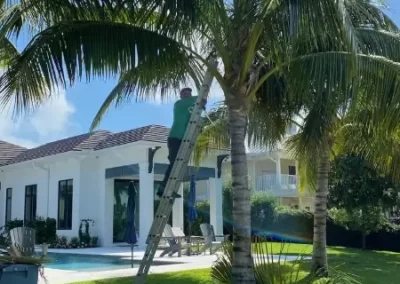Landscape Maintenance