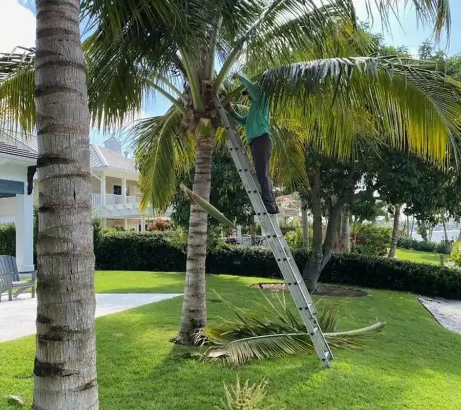 Landscaping Company