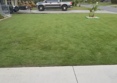 Professional Landscape Maintenance