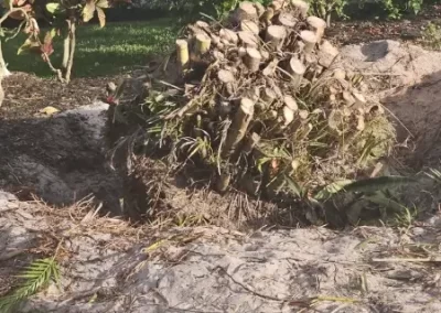 Professional Landscaper