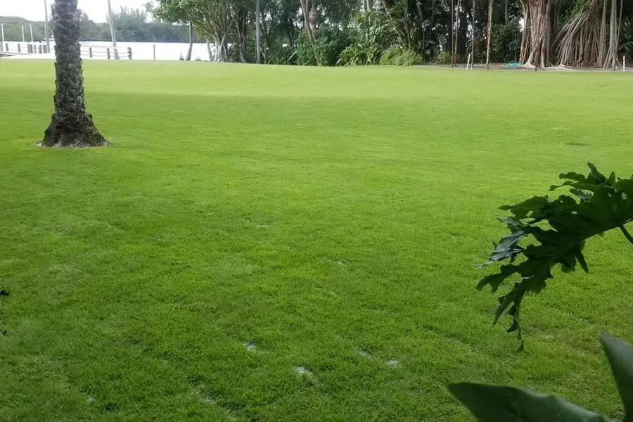 Our Reliable Landscaping Company in Hobe Sound, FL