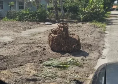 Quality Landscape Company