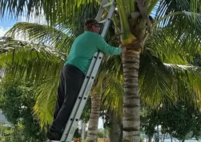 Quality Landscape Contractor
