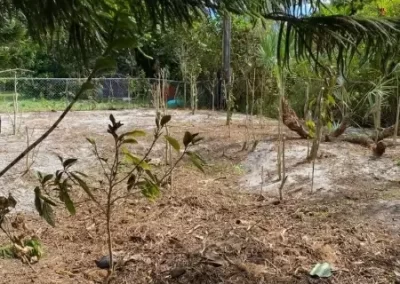 Quality Landscaper