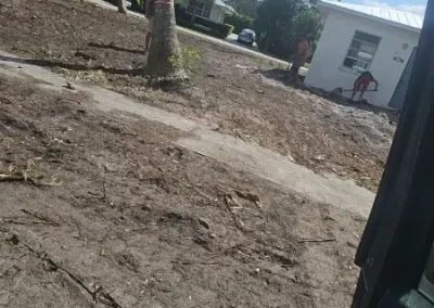 Reliable Landscape Maintenance