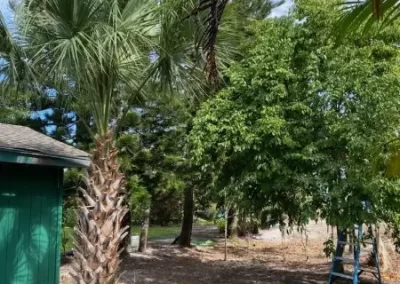 Reliable Landscaping Company
