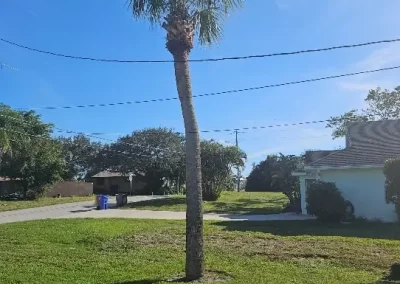 Dedicated Landscaping Company