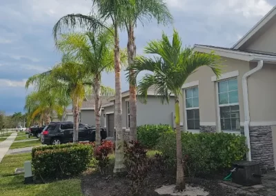Eco-Friendly Landscaping Company