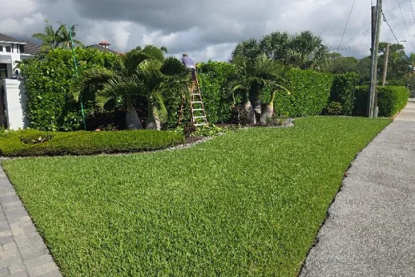 Landscape Edging