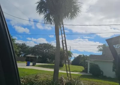 Modern Landscaping Company