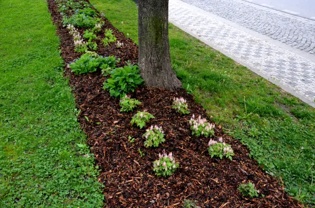 Benefits Of Mulching For Weed Control And Moisture Retention Hobe Sound FL