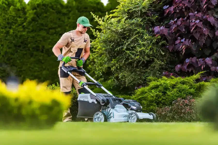 Benefits Of Professional Lawn Mowing Service For Your Yard in Hobe Sound FL