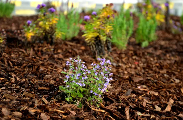 Experienced Mulching Hobe Sound FL