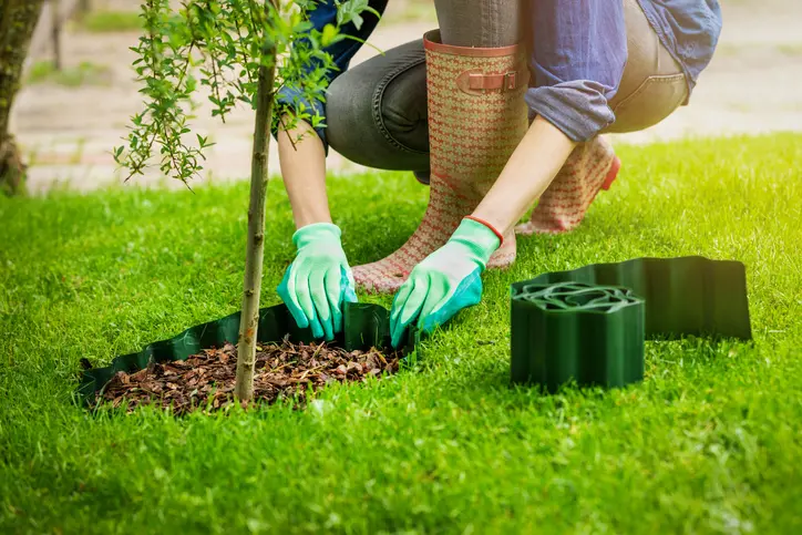 How Landscape Edging Enhances Garden Aesthetics And Function Hobe Sound FL