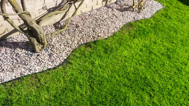 How Professional Edging Defines And Protects Lawn Borders Hobe Sound FL