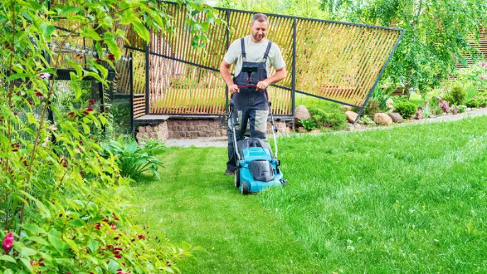 How Regular Lawn Mowing Improves Your Homes Curb Appeal Hobe Sound FL