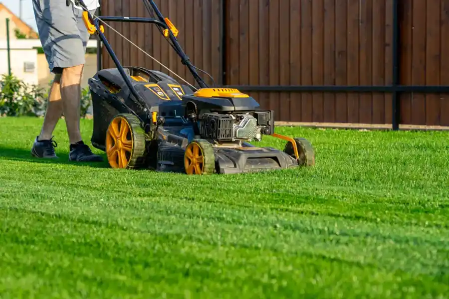 How Regular Lawn Mowing Improves Your Homes Curb Appeal in Hobe Sound FL