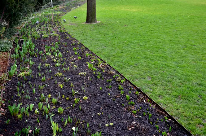 Local Landscape Edging Hobe Sound FL