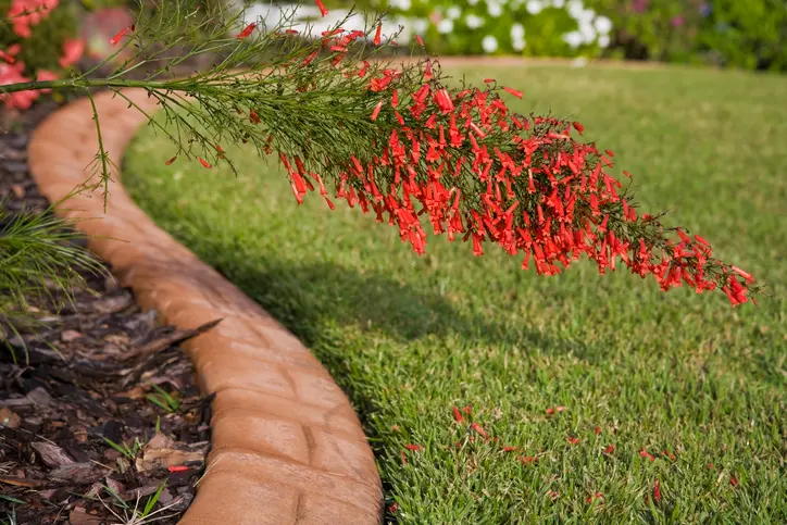 Premium Landscape Edging Hobe Sound FL