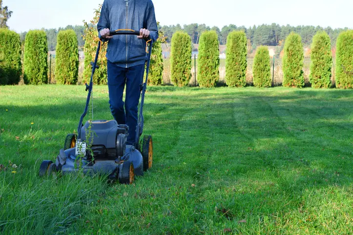 Professional Lawn Mowing Service Hobe Sound FL