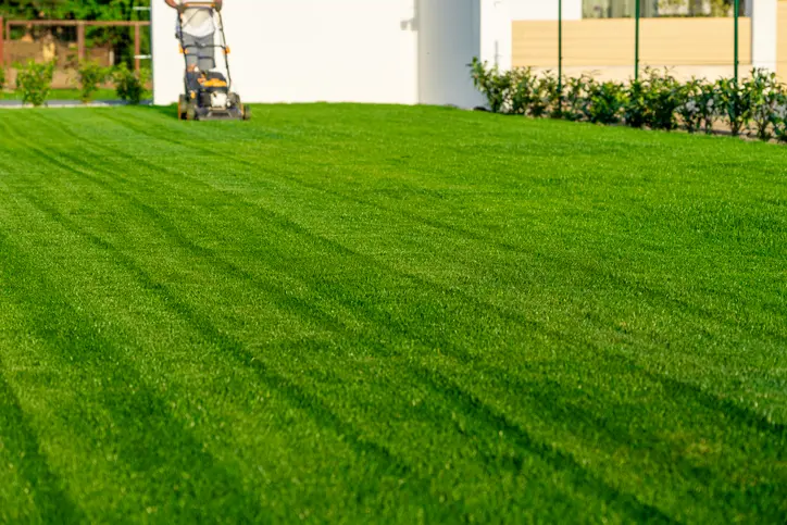 Reliable Lawn Mowing Service Hobe Sound FL
