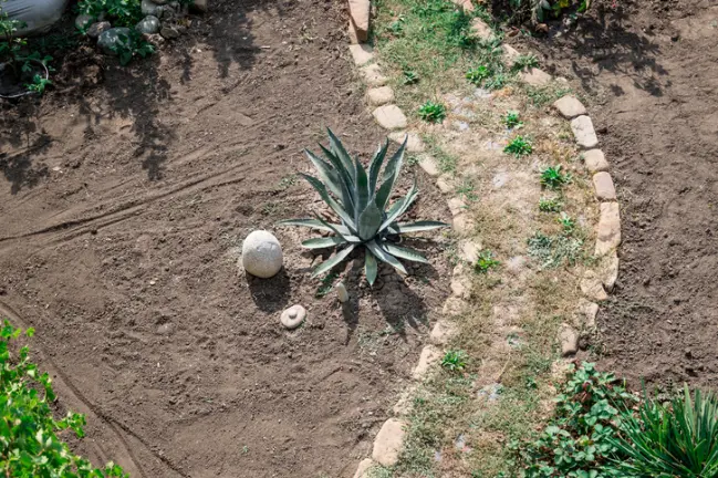 Step-by-step Process Of A Successful Landscape Installation Hobe Sound FL