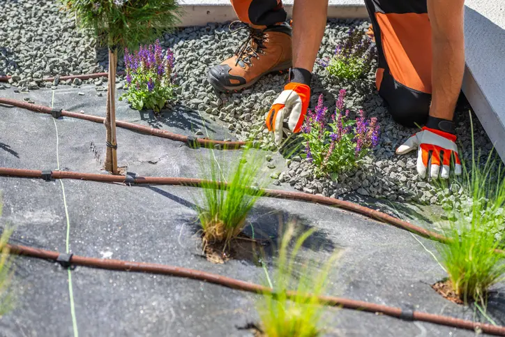 Step-by-step Process Of A Successful Landscape Installation in Hobe Sound FL