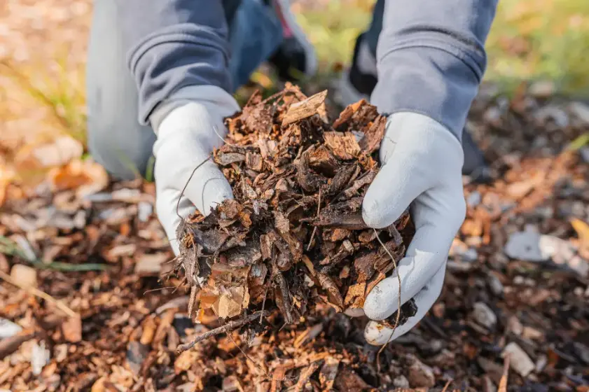 Understanding The Different Types Of Mulch And Their Uses Hobe Sound FL